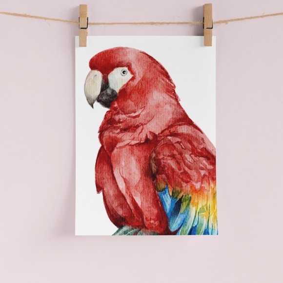 Red Macaw Parrot Bird Watercolor Wall Art Print Poster Unframed - Picture 6 of 8